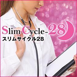 【スリムサイクル28　～Slim Cycle-28～】