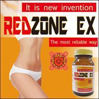 【レッドゾーンEX -REDZONE EX-】