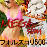 【メガスリム　フォルスコリ500】
