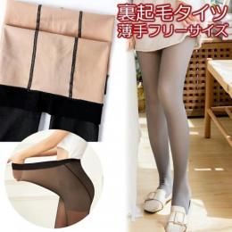 裏起毛タイツ 薄手フリーサイズ