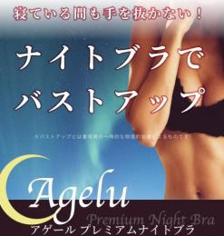 アゲール プレミアムナイトブラ Agelu Premium Night Bra ピュアシーク