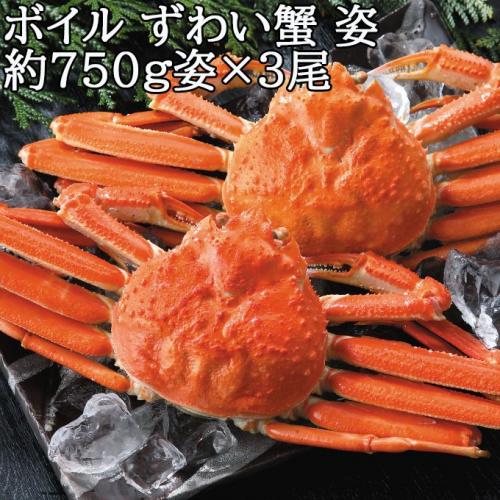 送料無料 ずわい蟹 約750g 3尾